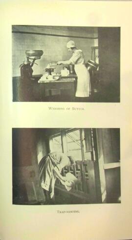 North of Scotland College of Agriculture Prospectus of Craibstone School of Rural Domestic Economy 1936 [Page Eleven]