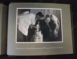 Page Eleven: "Introducing A Farm Cheesemaker To Modern Starter Control"