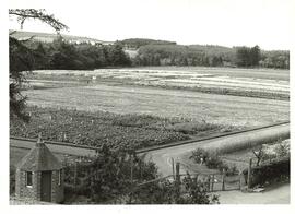 Photograph of Woodlands Field, Craibstone