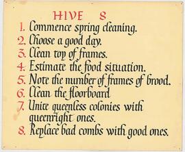 Hive 8 description