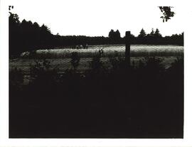 Photograph of Woodlands Field, Craibstone